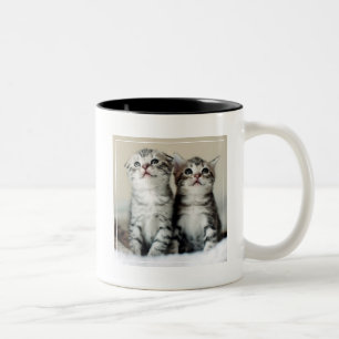 Caneca De Café Em Dois Tons Dois gatinhos bonitos
