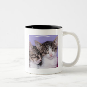 Caneca De Café Em Dois Tons Dois gatinhos bonitos que Napping