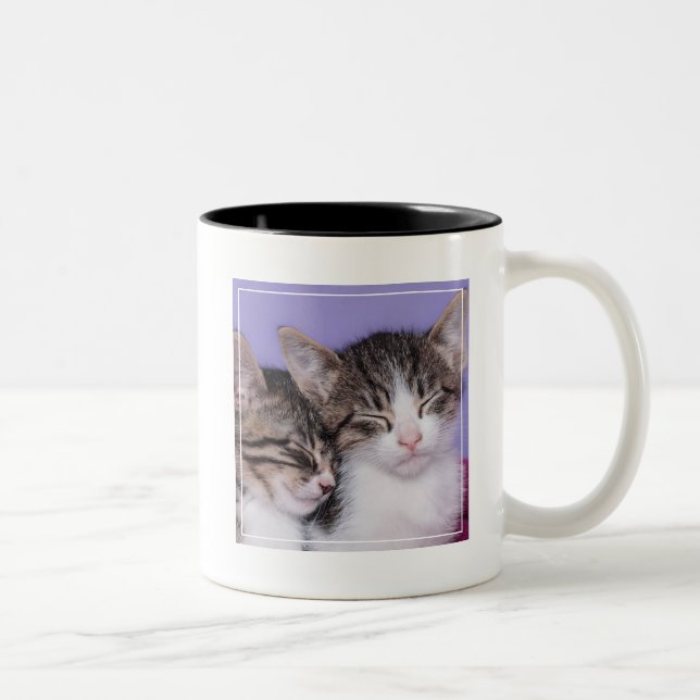 Caneca De Café Em Dois Tons Dois gatinhos bonitos que Napping (Direita)