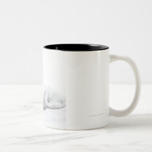 Caneca De Café Em Dois Tons Dois gatinhos persas