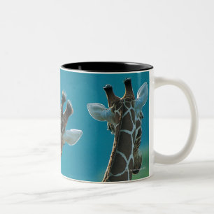 Caneca De Café Em Dois Tons Dois girafas (camelopardalis do Giraffa)
