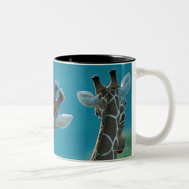 Caneca De Café Em Dois Tons Dois girafas (camelopardalis do Giraffa) (Direita)