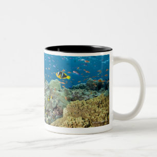 Caneca De Café Em Dois Tons Dois pináculos que começam em aproximadamente 75