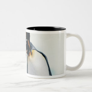 Caneca De Café Em Dois Tons Dois pinguins afectuosos