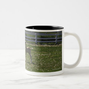 Caneca De Café Em Dois Tons Dois potros no campo