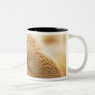 Caneca De Café Em Dois Tons Dolomites orelhudas longas dos carneiros, Italia