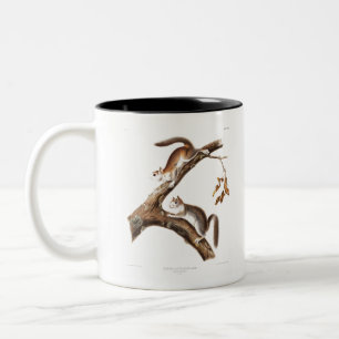 Caneca De Café Em Dois Tons Downy Brown Squirrel House