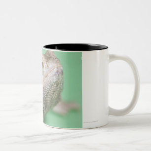 Caneca De Café Em Dois Tons Dragão farpado 2