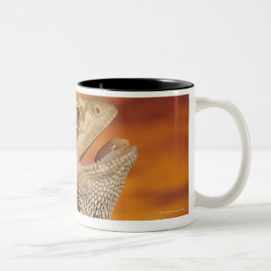 Caneca De Café Em Dois Tons Dragão farpado (Pogona Vitticeps) na rocha,