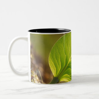 Caneca De Café Em Dois Tons Dreamy Leaf Mug