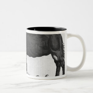 Caneca De Café Em Dois Tons Dromedary, 'de Historial Animalium