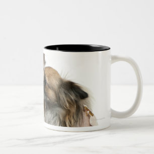 Caneca De Café Em Dois Tons Duas chihuahuas vestidas (2 anos velho)
