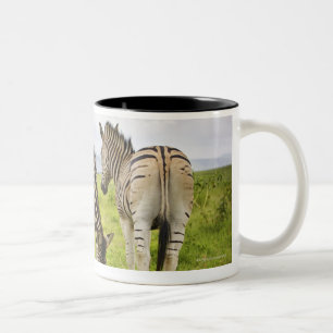 Caneca De Café Em Dois Tons Duas zebras, África do Sul