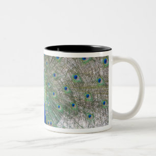 Caneca De Café Em Dois Tons Dubrovnik, Croatia, ilha de Lokrum, colorida