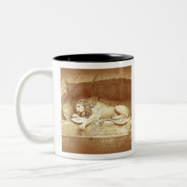 Caneca De Café Em Dois Tons Dying Lion of Luzern - Löwendenkmal