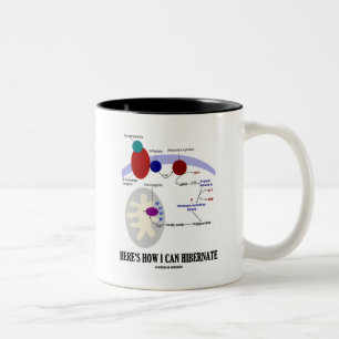 Caneca De Café Em Dois Tons É aqui como eu posso Hibernate (Thermogenesis)