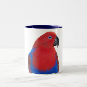 Caneca De Café Em Dois Tons Eclectus fêmea 11oz