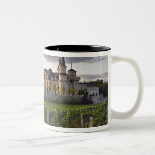 Caneca De Café Em Dois Tons Edifício da adega visto da vinha em