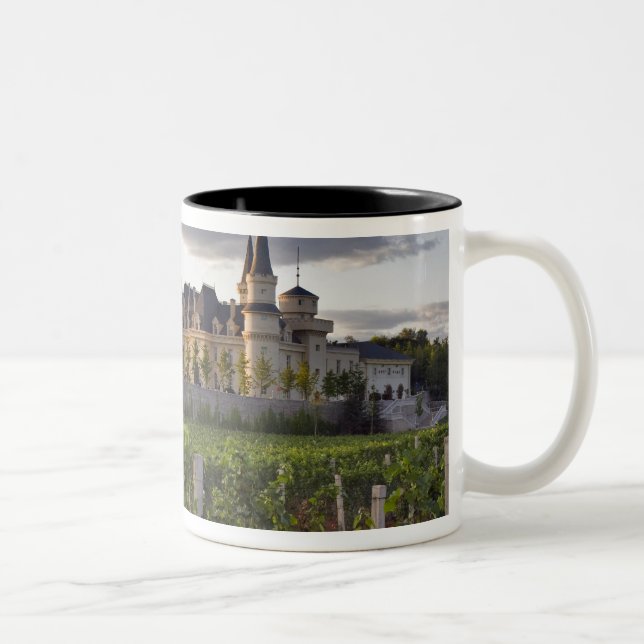 Caneca De Café Em Dois Tons Edifício da adega visto da vinha em (Direita)