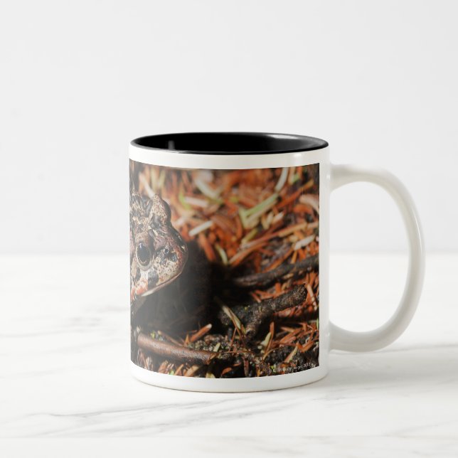 Caneca De Café Em Dois Tons edmonton, Alberta, Canadá 3 (Direita)