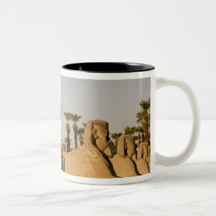 Caneca De Café Em Dois Tons Egito, Luxor. A Avenida das Esfinges leva a