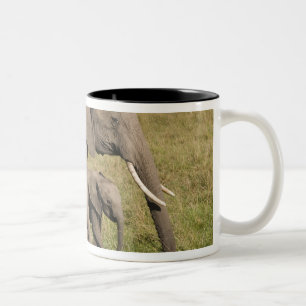 Caneca De Café Em Dois Tons Elefante africano e cria (Loxodonta africana),