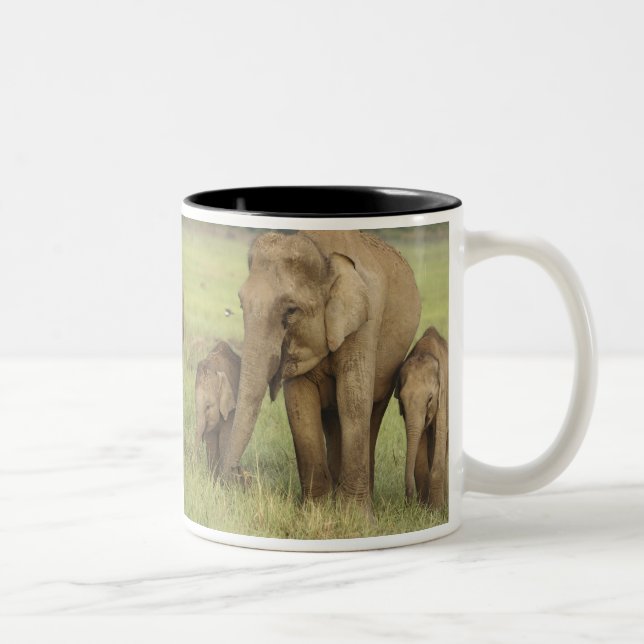 Caneca De Café Em Dois Tons Elefante Asiático e Jovens Indianos (Direita)