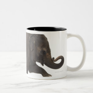Caneca De Café Em Dois Tons Elefante que executa o truque na caixa
