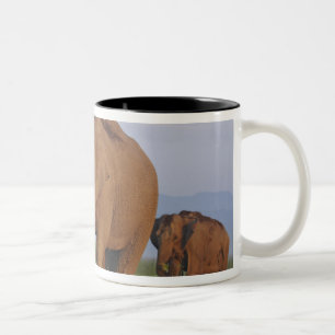 Caneca De Café Em Dois Tons Elefantes indianos na pastagem, Corbett