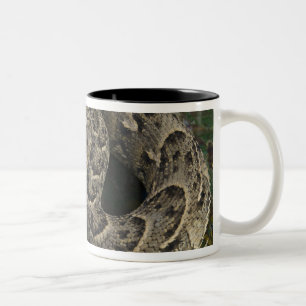 Caneca De Café Em Dois Tons Encantador de serpentes, víbora Africana Bitis