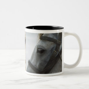 Caneca De Café Em Dois Tons Encontro de dois cavalos