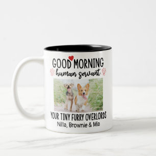 Caneca De Café Em Dois Tons Engraçado Cão Personalizado 2 Fotografias Mug para