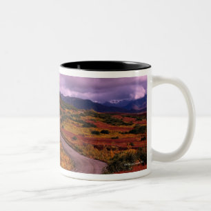 Caneca De Café Em Dois Tons Enrolamento da estrada através das colinas no