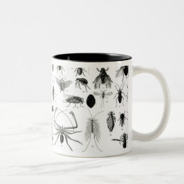 Caneca De Café Em Dois Tons Entomologia, Myriapoda e aracnídeos