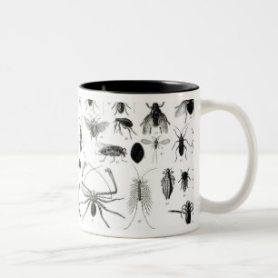 Caneca De Café Em Dois Tons Entomologia, Myriapoda e aracnídeos