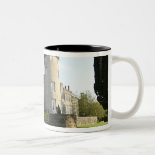 Caneca De Café Em Dois Tons Entrada lateral do Castelo Dromoland sem pessoas