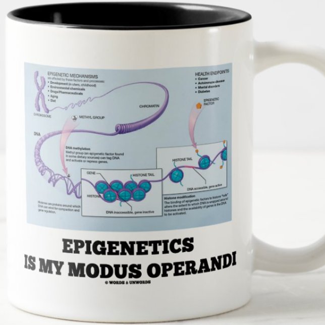 Caneca De Café Em Dois Tons Epigenética É O Meu Modus Operandi (Mecanismos) (Epigeneticists and environmentalists will enjoy this mug)