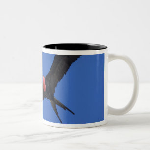 Caneca De Café Em Dois Tons Equador, Galápagos. Ilha Genovesa também conhecida