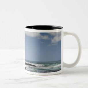 Caneca De Café Em Dois Tons Equador, Galápagos, Santiago (também conhecido com