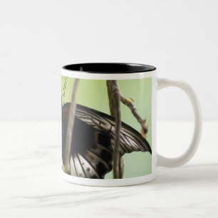 Caneca De Café Em Dois Tons Escarlate da borboleta de Swallowtail (Papilio