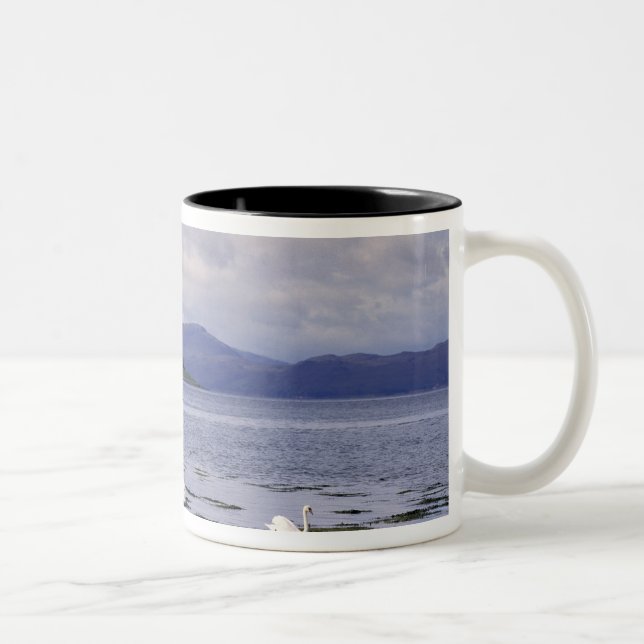 Caneca De Café Em Dois Tons Escócia, Highland, Wester Ross, Stalker (Direita)