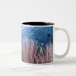 Caneca De Café Em Dois Tons Escola dos peixes acima do recife