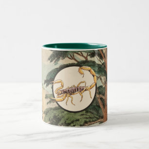 Caneca De Café Em Dois Tons Escorpião na ilustração do habitat natural
