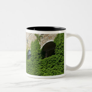 Caneca De Café Em Dois Tons ESLOVÊNIA, Liubliana: Castle Hill / Liubliana