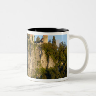 Caneca De Café Em Dois Tons Eslovênia, sangrado, lago sangrado, castelo sangr