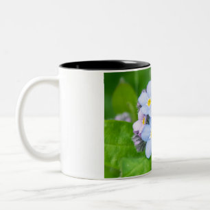 Caneca De Café Em Dois Tons Esqueça-me, não, Mug