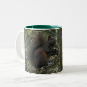 Caneca De Café Em Dois Tons esquilo