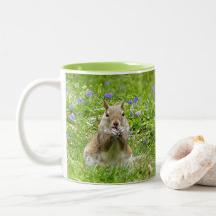 Caneca De Café Em Dois Tons Esquilo Entre Violetas Selvagens