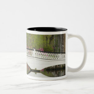 Caneca De Café Em Dois Tons Estados Unidos; Carolina do Sul; Charleston;3