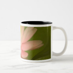 Caneca De Café Em Dois Tons Estados Unidos, Maryland, Westminster, União